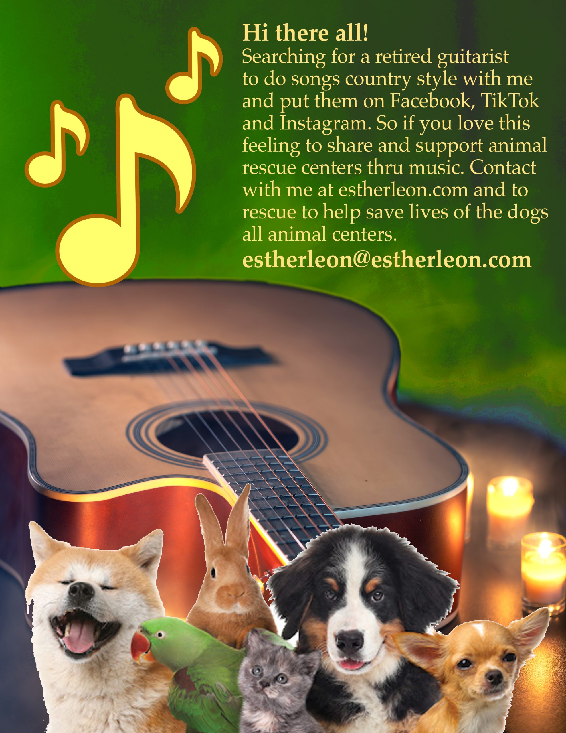Guitar Flyer copy 2